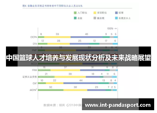 中国篮球人才培养与发展现状分析及未来战略展望